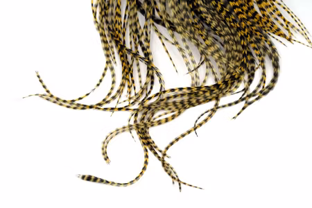 Whiting Bronze 1/2 Saddle Grizzly dyed Golden Straw