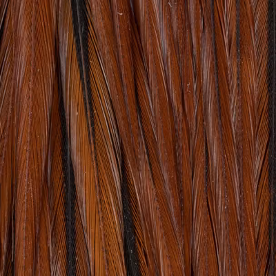 Ewing Dry Fly Cape Furnance