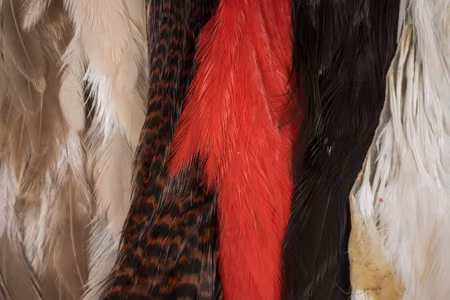 Ewing Hen Variety Pack