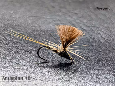 Dagslända Callibaetis #14