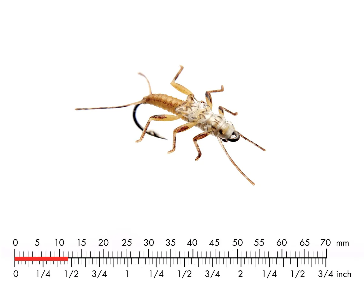 J:son Stonefly Nymph 5 Yellow #16