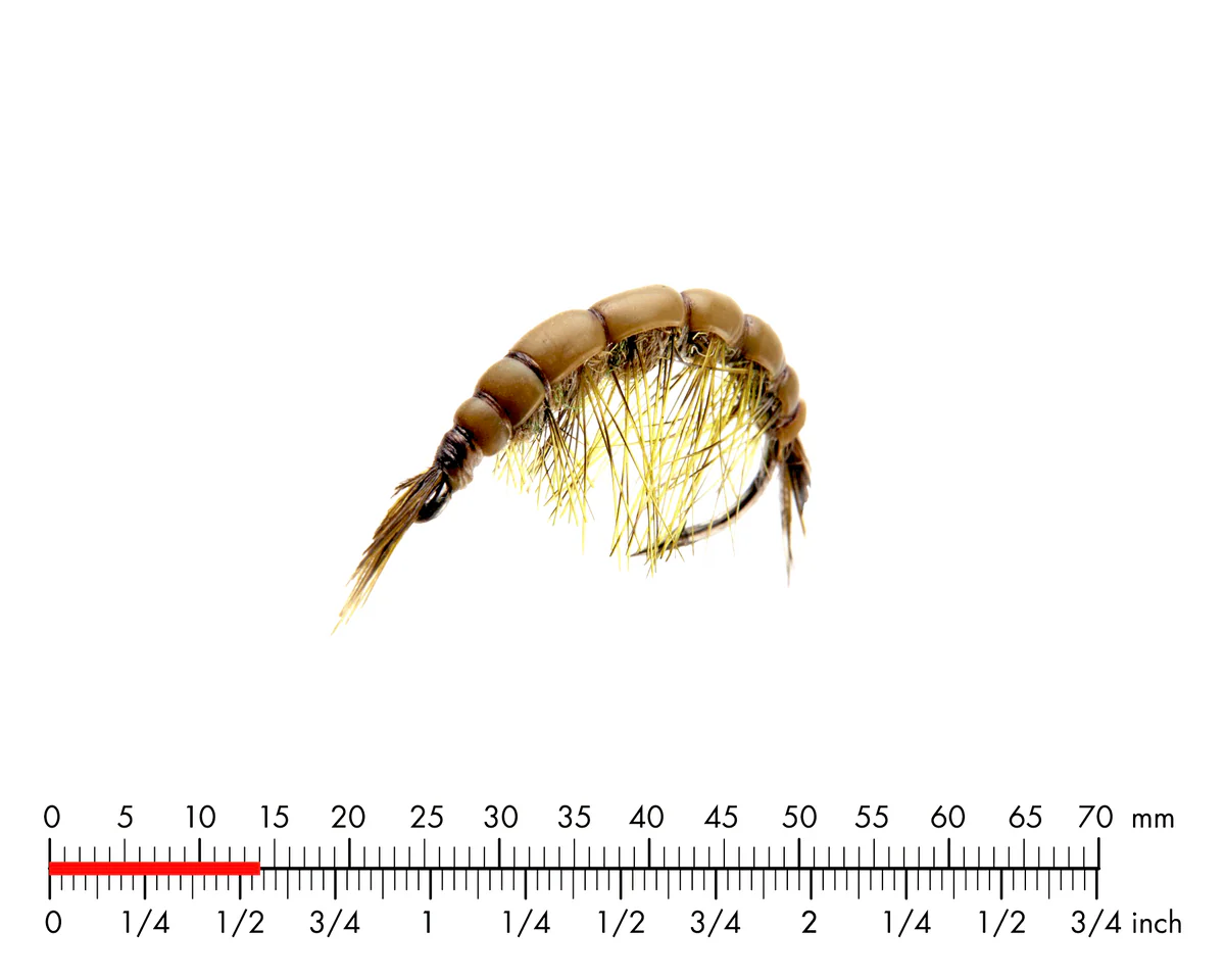 Scud 2 Olive Brown J:son