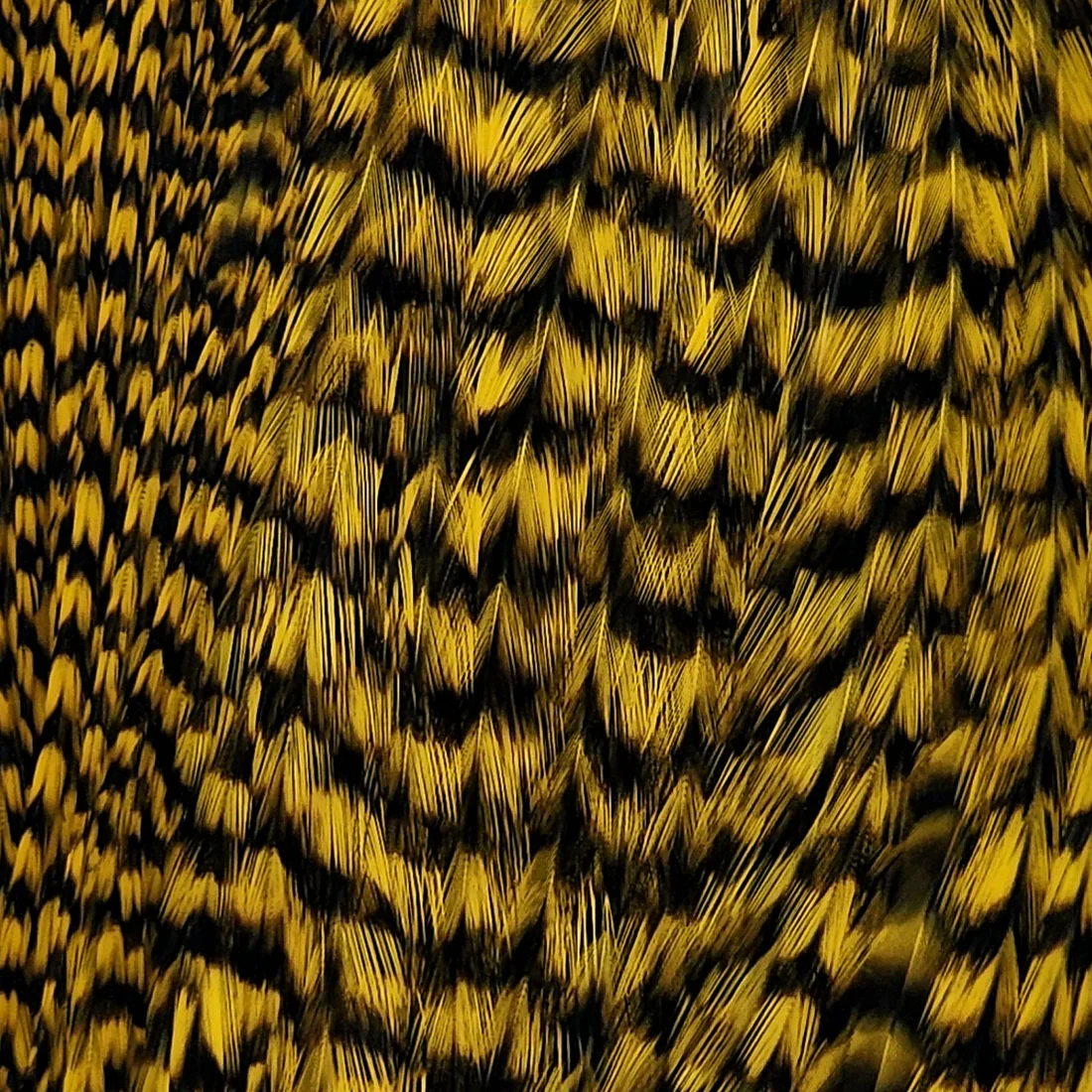 Premium Saddle Hackle  # 20-22