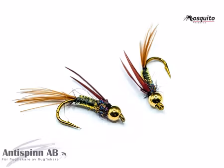 Nattslända Puppa BH #10