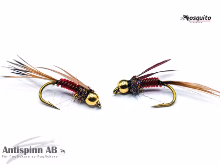 Nattslända Puppa BH #10