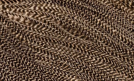 Premium Saddle Hackle  # 10-12