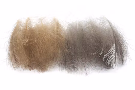 Troutline Premium CDC Feathers Natural Colors 1gram Up to 5cm