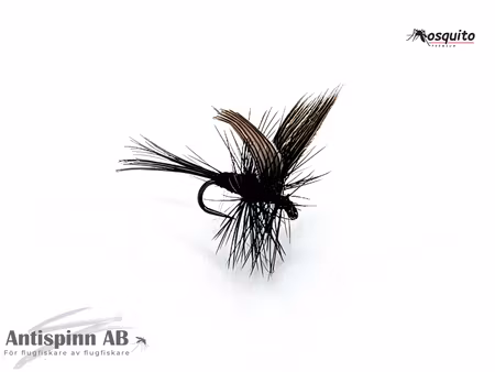 Black Gnat #18