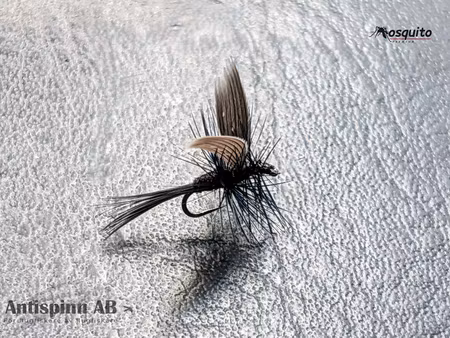 Black Gnat #18