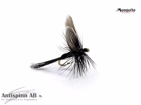 Black Gnat #16