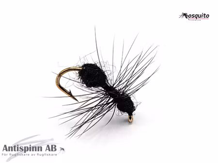 Black Ant