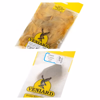 Mallard Duck Drakegrey Flank Medium Veniard