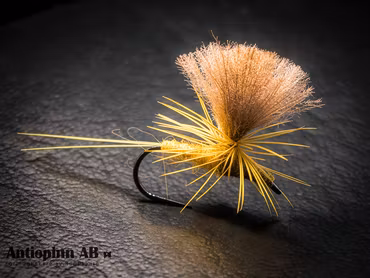 Dagslända Sulphur Yellow #14