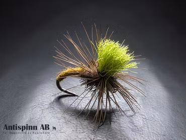 Klinkhammer Brown Olive #14