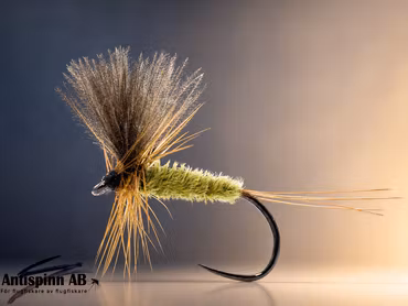 Tactical Polish Olive Dry #14