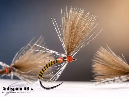 Tactical E2 CDC Emerger