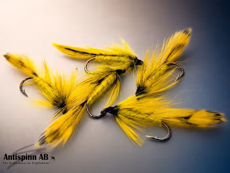 Matuka Yellow #8