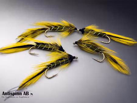 Matuka Olive #8