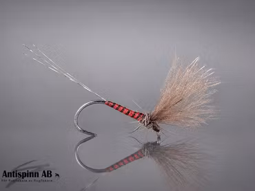 V MAY FLY RED SPINNER #16