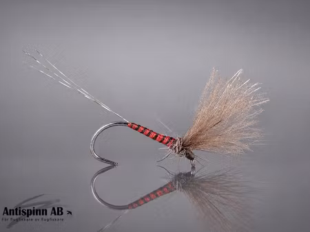 V MAY FLY RED SPINNER #16