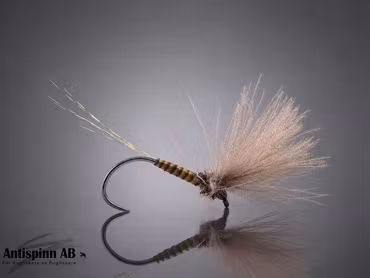 V Mayfly Quill Cdc Olive #16