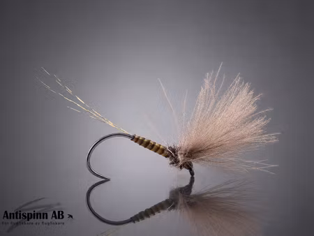 V Mayfly Quill Cdc Olive #16