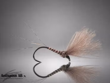 V Mayfly Quill Cdc Natural #14