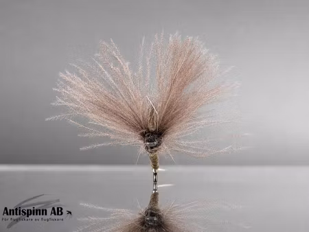 V Mayfly Quill Cdc Natural #14