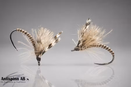 Mosquito CDC Emerger #16