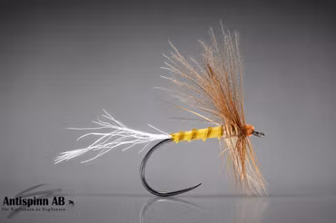 Cripple PMD1 CDC Fly BL #16