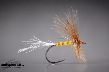 Cripple PMD1 CDC Fly BL #16