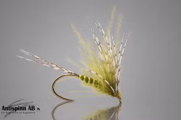 CDC Olive Emerger BL #14