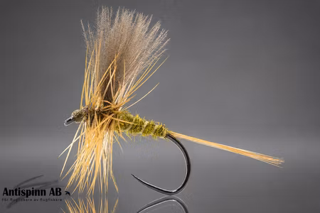 Catskill Olive Dun CDC Wings #16