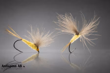 Yellow CDC BL Spinner #14
