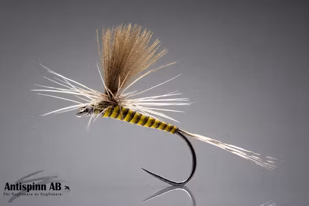 PF6 Dry Fly BL #14