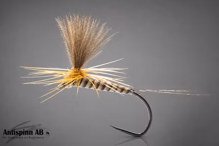 PF12 Dry Fly BL #16