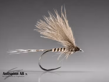 Quill Dun CDC BL #14