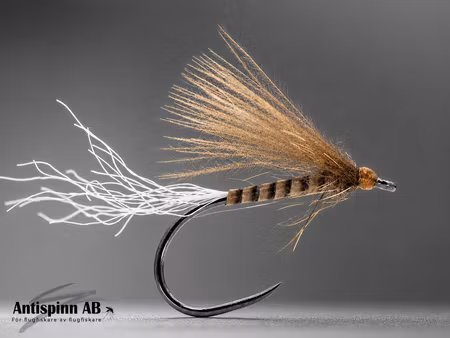 Cripple Quill Dun CDC Fly BL