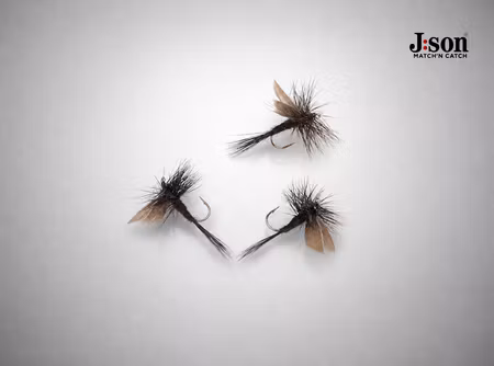 J:son Black Gnat