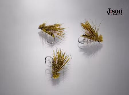 Elkhair Caddis Olive Green #16