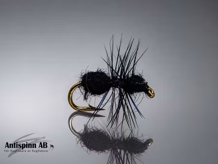 Black Ant