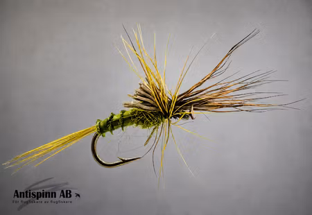 Olive Biot Cripple #18