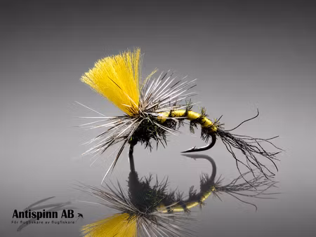 Kläckare Yellow Ribbed Peacock #14