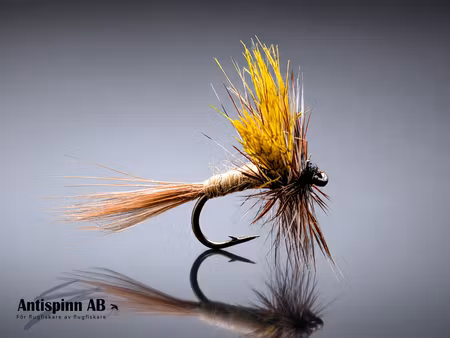 American March Brown #14