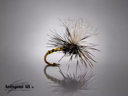 Klinkhammer Biot Olive #14