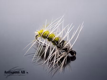 Superpuppa Olive/Svart #14
