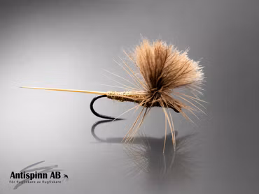 Dagslända Blue Winged Olive #14