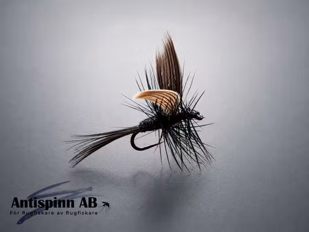 Black Gnat #18
