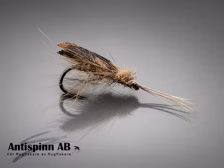Big Caddis Fly #10