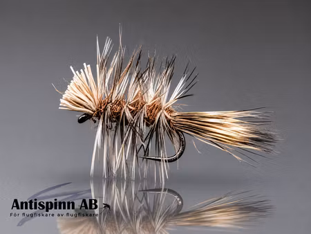 Dyret Brown Spiky #16